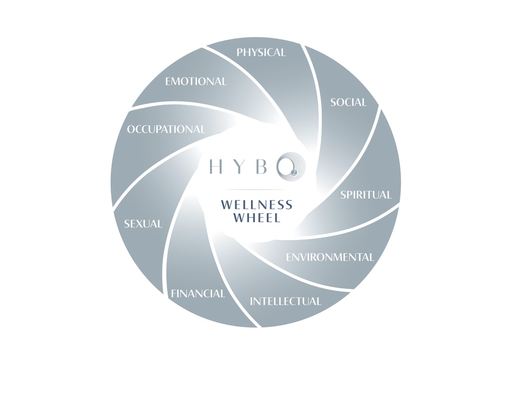 Circle with HybO2 wellness wheel in centre and segments around outside physical social spiritual environmental intellectual financial sexual occupational emotional